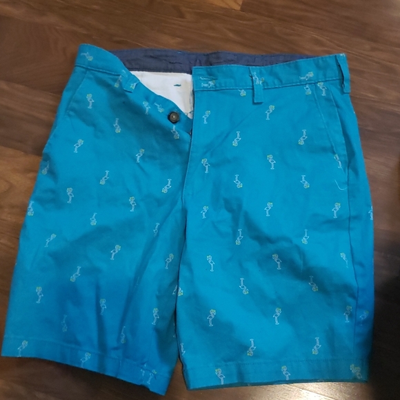 Shorts - Picture 1 of 2